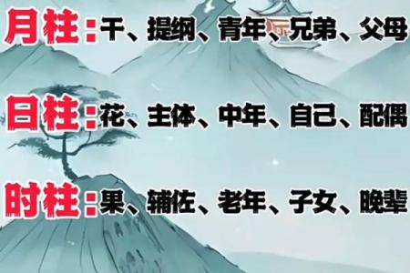 八字结构