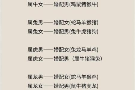 属相婚配算命真相