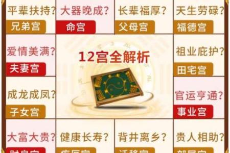 紫薇斗数炒股发财