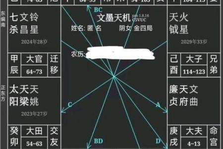 看紫薇斗数禁忌