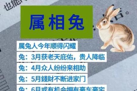 关于属兔购房的风水禁忌和宜忌你不能不知道