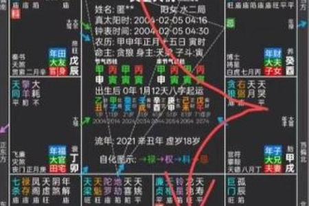 紫薇斗数流年看外出