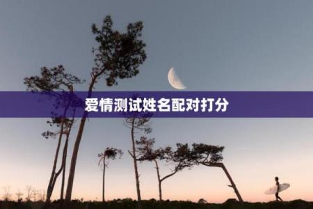 测试打分的名字
