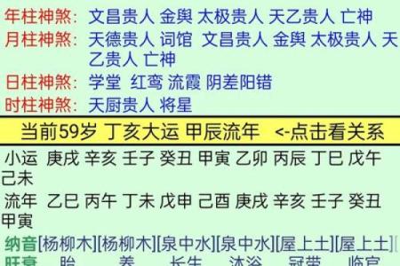 八字丁酉
