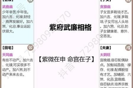 紫薇斗数入门