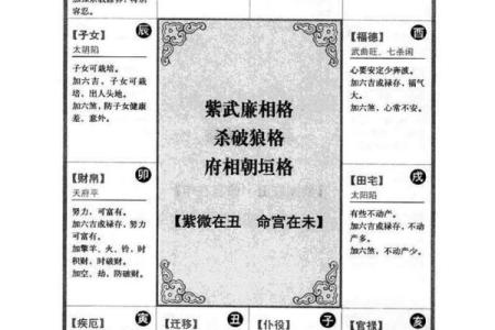 倪海厦推荐的紫薇斗数