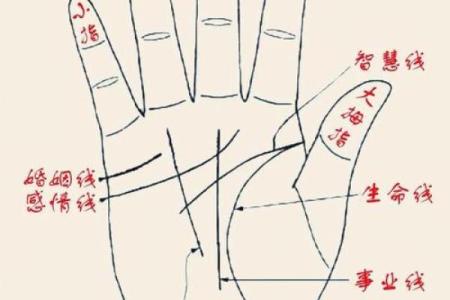 女性手纹算命图解