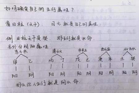 怎的八字