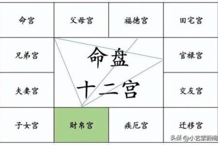紫薇斗数好命盘
