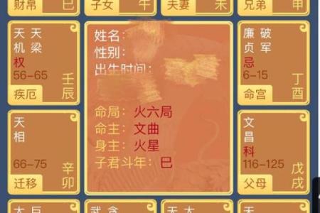 紫微斗数诸星落诸宫之：天梁星兄弟宫详解