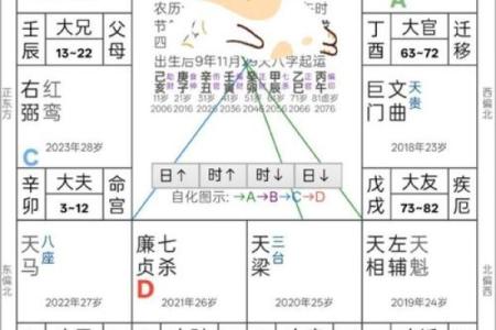 紫薇斗数微盘