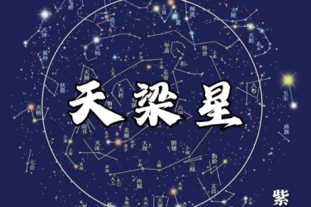 紫薇斗数中的天贵